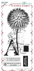 Alium Collage Rubber Stamp sheet - DL